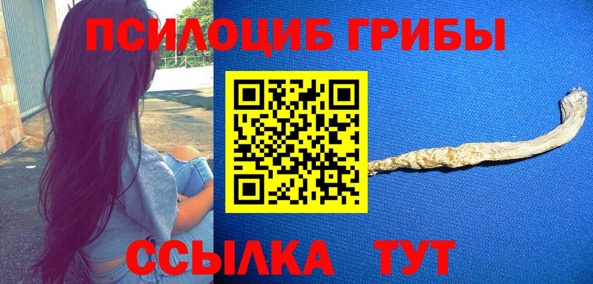 Псилоцибиновые грибы GOLDEN TEACHER  Вход с VPN  Кохма 